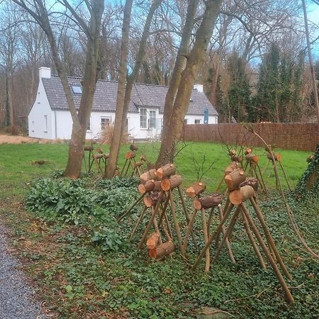 Houtsaegertje Villa De Panne Eksteriør billede