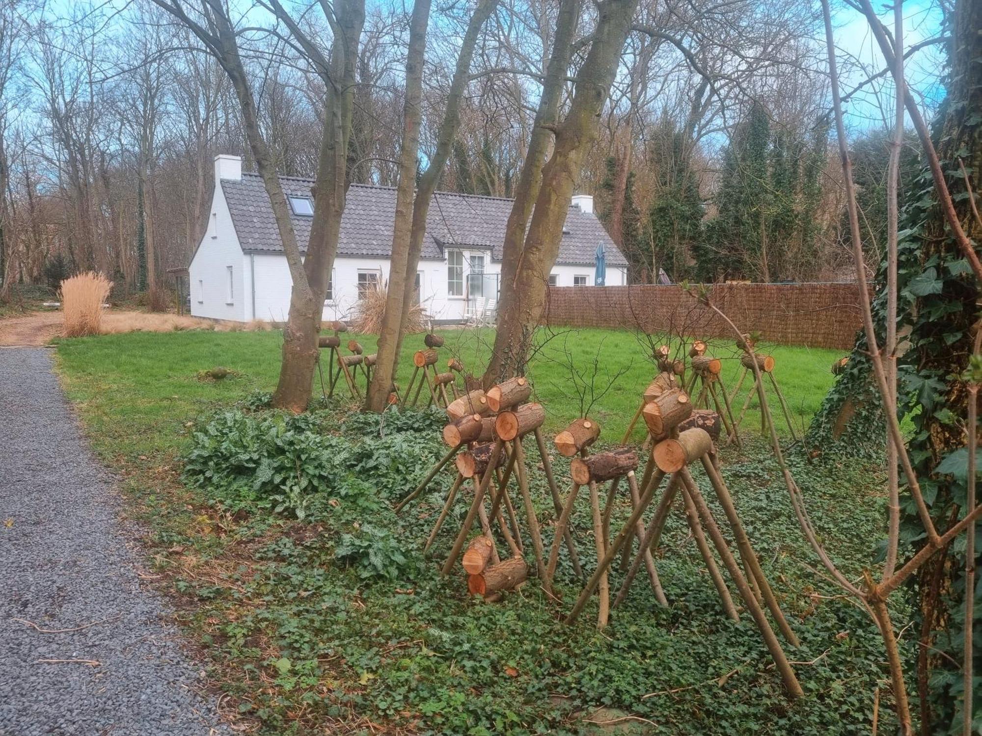 Houtsaegertje Villa De Panne Eksteriør billede